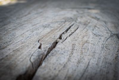 A cracked wood. Do you know How to Fill Wood Cracks Before Painting?