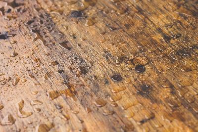 Image showing a wet wood. But, Can You Paint Wet Wood?