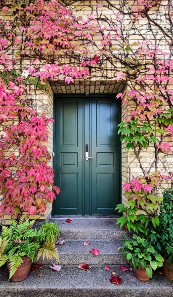 Image of Front Door. So Do You Know How to Paint a Front Door?