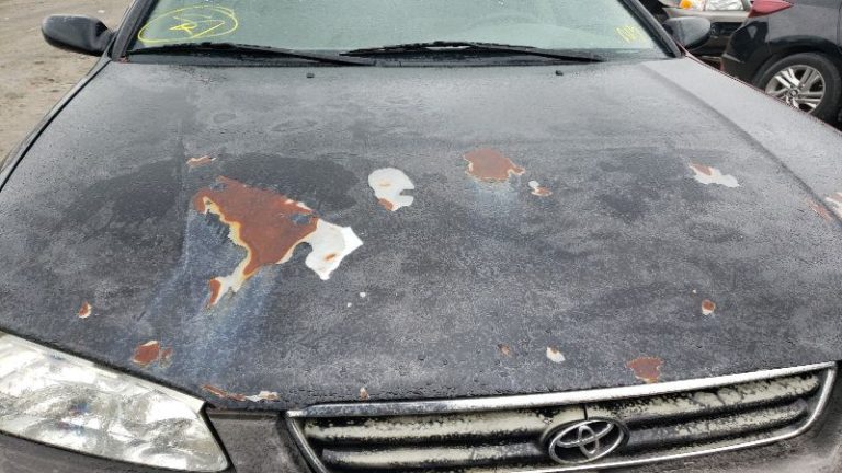 Can Petrol Damage Car Paint